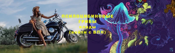 амф Богданович
