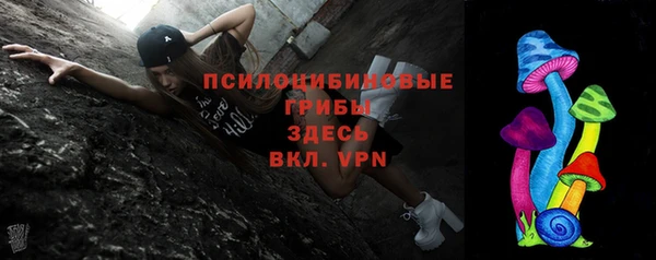 apvp Богородицк