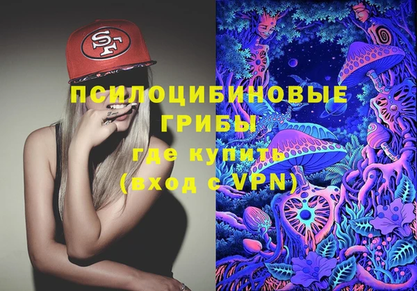 apvp Богородицк