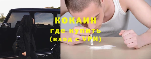 амф Богданович