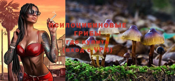 apvp Богородицк