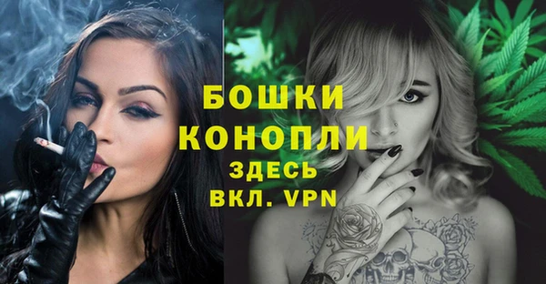 apvp Богородицк