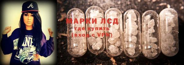 apvp Богородицк