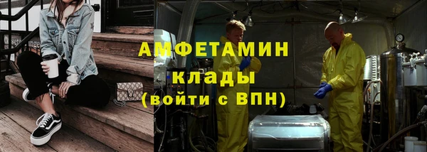 амф Богданович