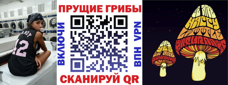 наркошоп  Надым  Псилоцибиновые грибы Psilocybine cubensis 