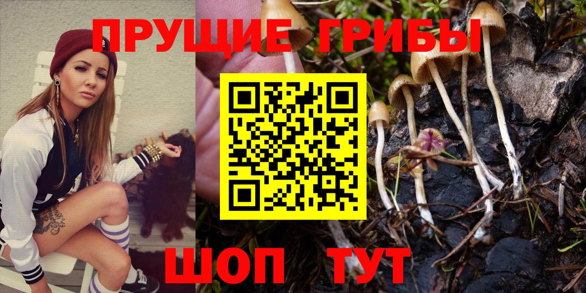 Надым  Галлюциногенные грибы Psilocybine cubensis  Псилоцибиновые грибы Psilocybine cubensis  Вход с VPN 