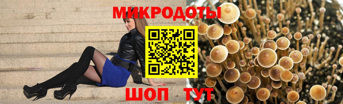 Галлюциногенные грибы Psilocybine cubensis Надым